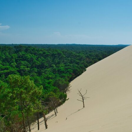 Groupe HDV - Focus régional : construire sa villa sur le Bassin d’Arcachon